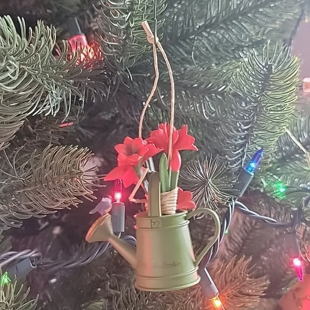 Hallmark this ornament